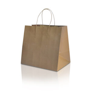 Recycled Paper Brown Shopping Bag – Twisted paper handle – Takeaway